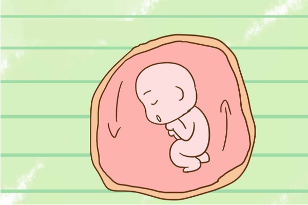 thai nhi1 Ngoài việc ăn và ngủ, thai nhi còn làm những gì ở trong bụng mẹ?
